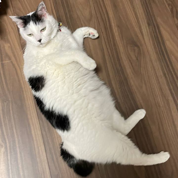 Ce71f25c 2a2b 4937 97e9 d11aaadc9fc3 1646868635188