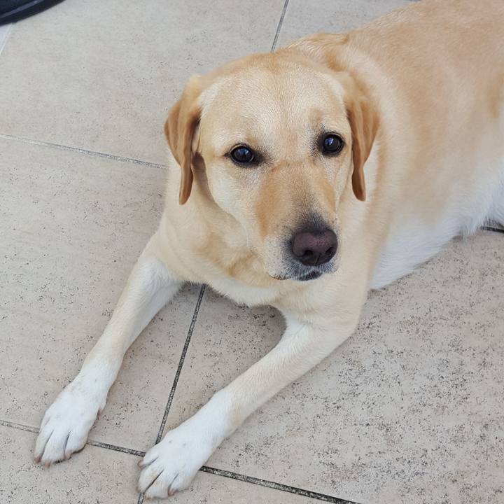 Ce7209ca 9117 4acb 8220 245c51bfe526 1536107237321