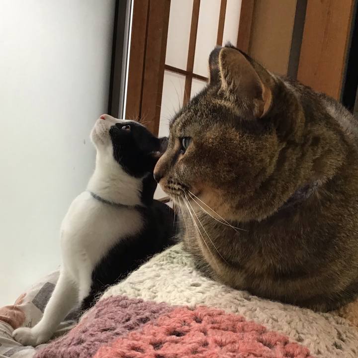 Ce720b21 ac98 404b af3a 9e901c1e1943 1634550351686