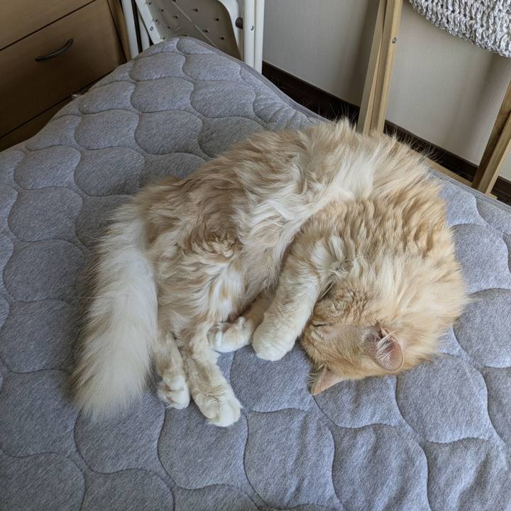 Ce723e68 39c8 4648 98cf 7ba17ae1a3fc 1756255063074