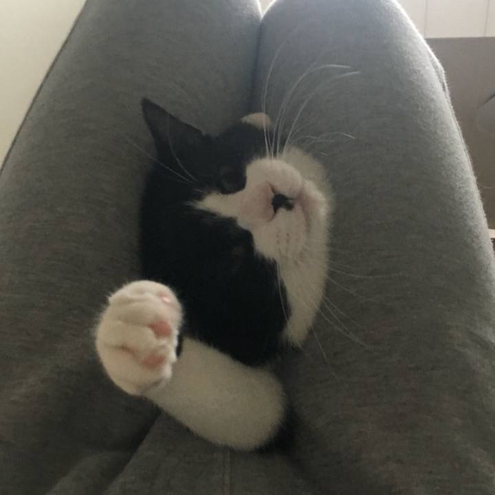 Ce7267c2 090f 472f b117 2d4271cf946c 1535499536401