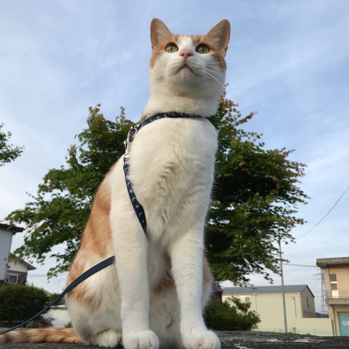 Ce727abf cf43 4187 bdb9 c5cd052bdf03 1526892105090