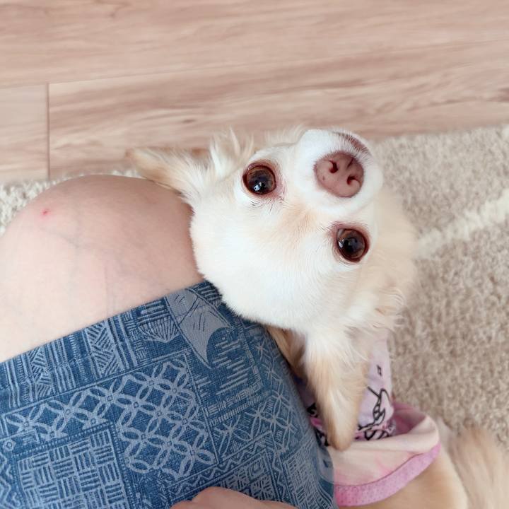 Ce72ad89 d160 45cd be63 e8f32d3e3aec 1718503886981