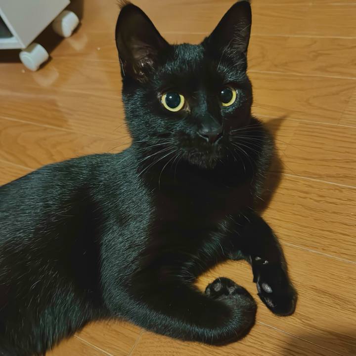 Ce72b31f c2c9 45da 8782 a6489843dc82 1738285331605