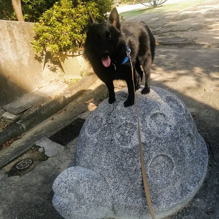 Ce72caa8 998a 4a7b b59c 9270936a86fc 1632355604318