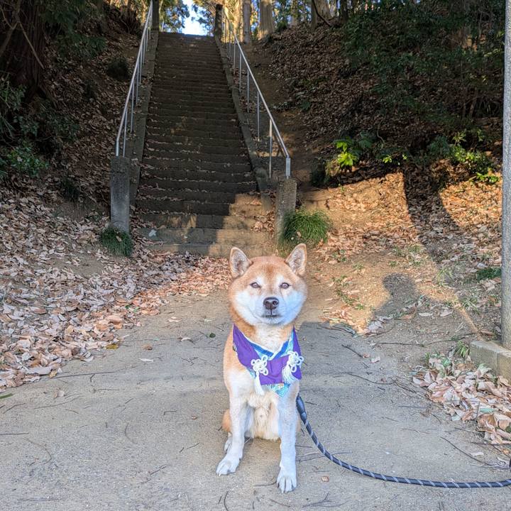 Ce72cbb2 3f1b 4a06 9416 5ee9621aa038 1735739241337