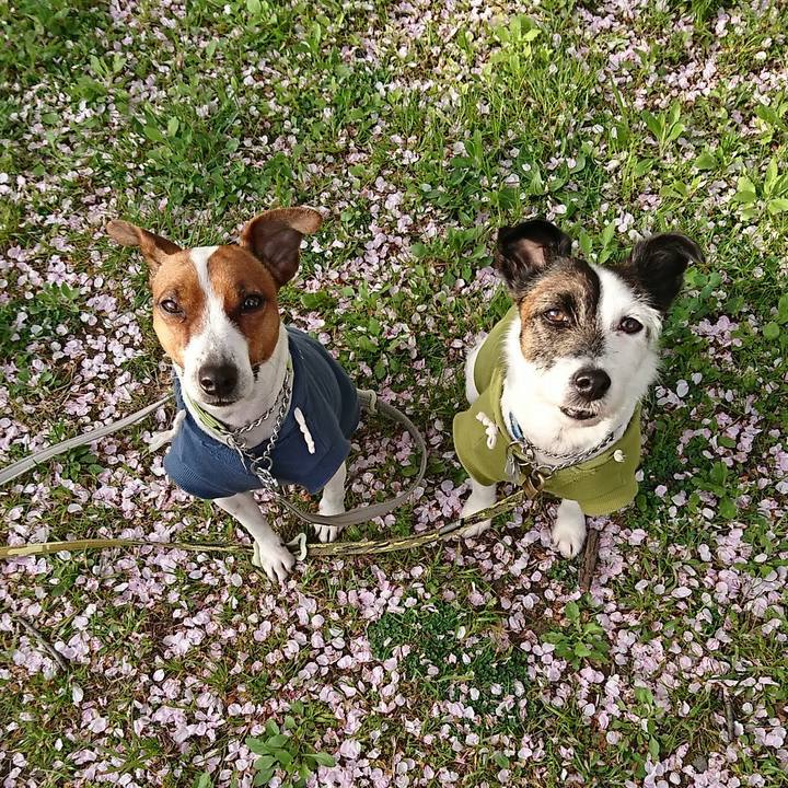 Ce72d628 c3eb 4837 a8fa 6c833d36874b 1586213039620