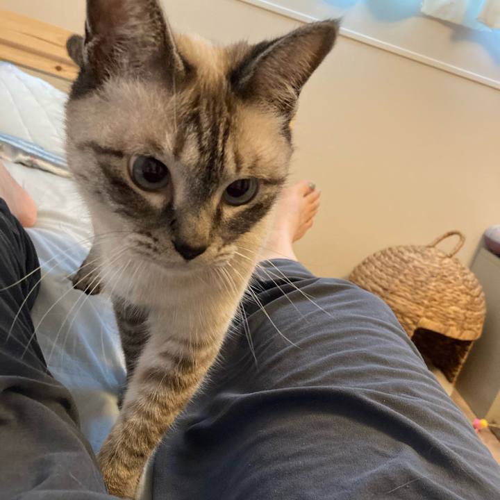 Ce72da65 e555 4e39 bbe6 d0fc55471b21 1658638616540