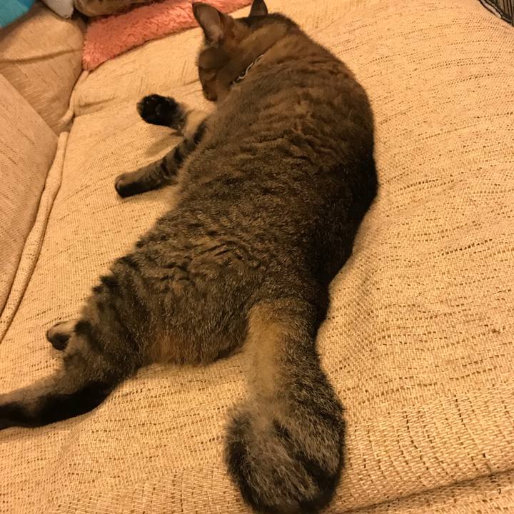 Ce72f9f3 88a2 40f3 9959 d929d797703c 1537692951153