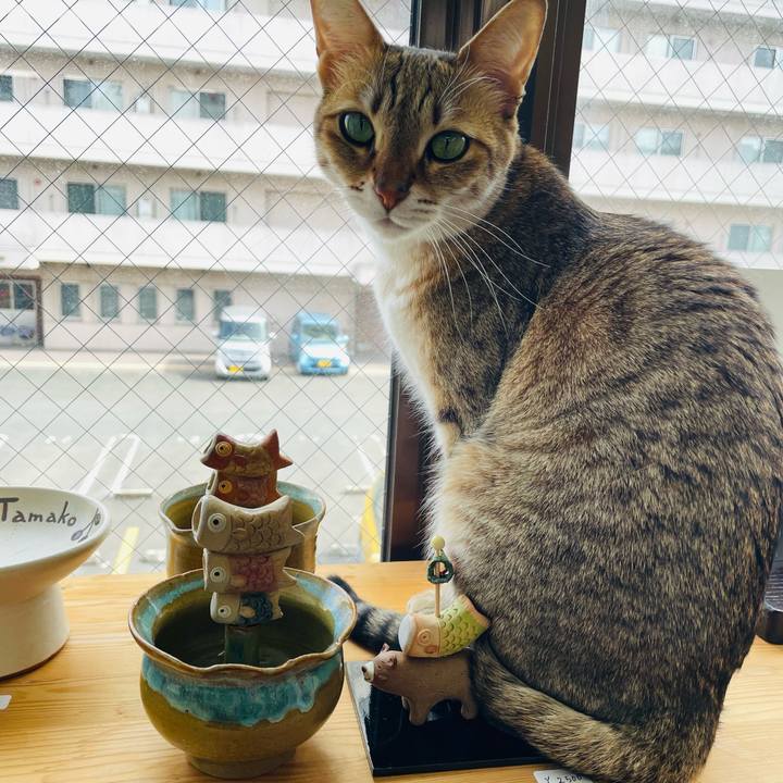 Ce739047 c4ce 4108 be2b c46d86436464 1713595193202