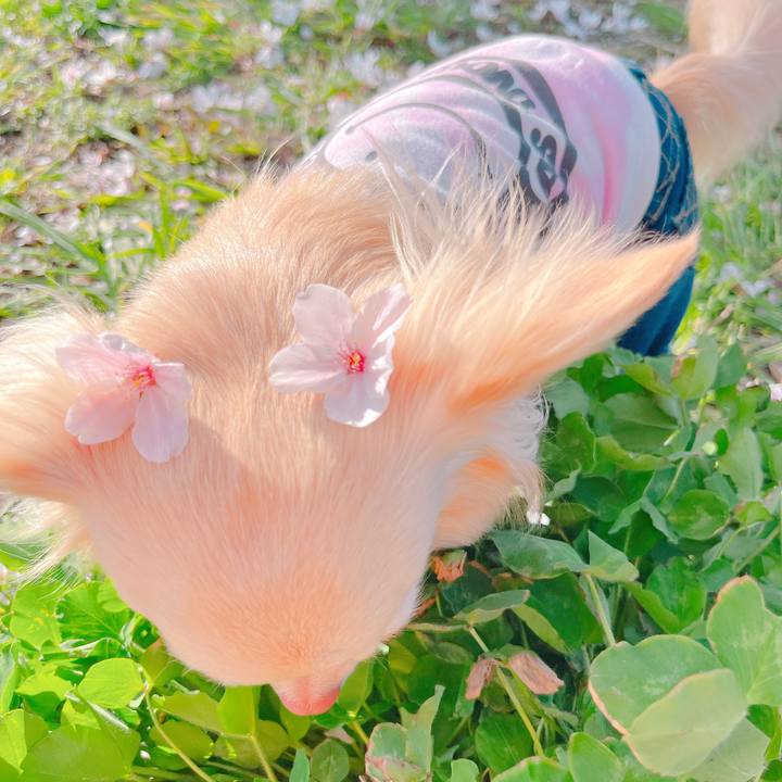 Ce739439 ae9f 4f54 a7bf f981db59f264 1649164029264