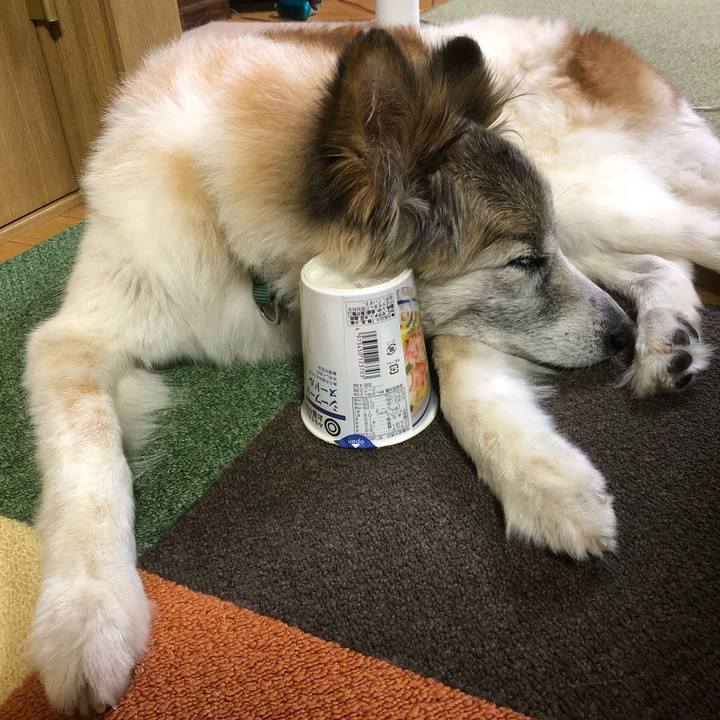 Ce73a69d 2108 407c b3c1 431c1d476841 1537883858983