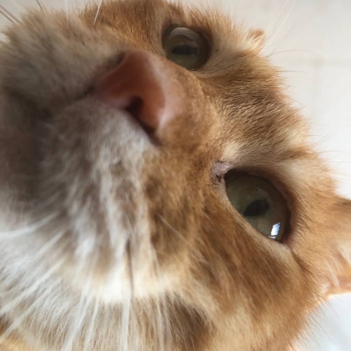 Ce73cd97 a07e 4786 b0b8 4ec98e62b4b3 1703824009168