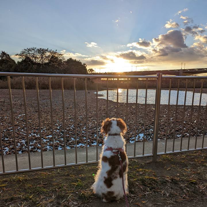 Ce73ee1c b9e7 4f9b b400 bf0d58812afe 1672831119086