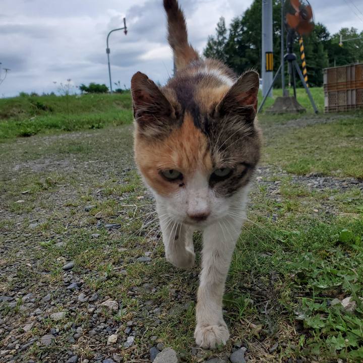 Ce73f1dc cf0c 42bf 878c 69a7f1e96c67 1724587851352