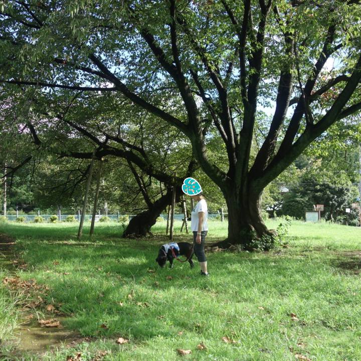 Ce740420 ba15 4802 bbd7 103ee6886b20 1692664060599