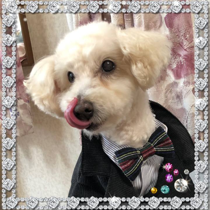 Ce741ff0 3a93 4e18 8372 fc399d631494 1552573374486