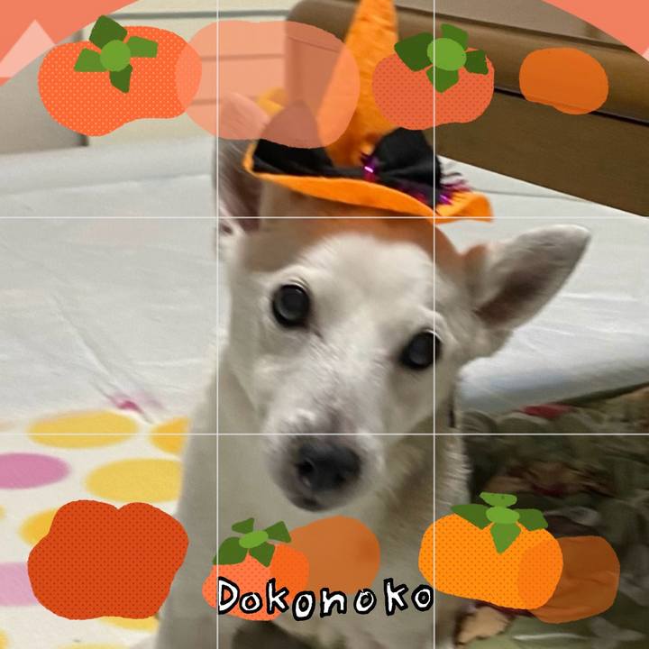 Ce747160 a66d 42f5 b0d9 b06c2f5c40c9 1761861649680