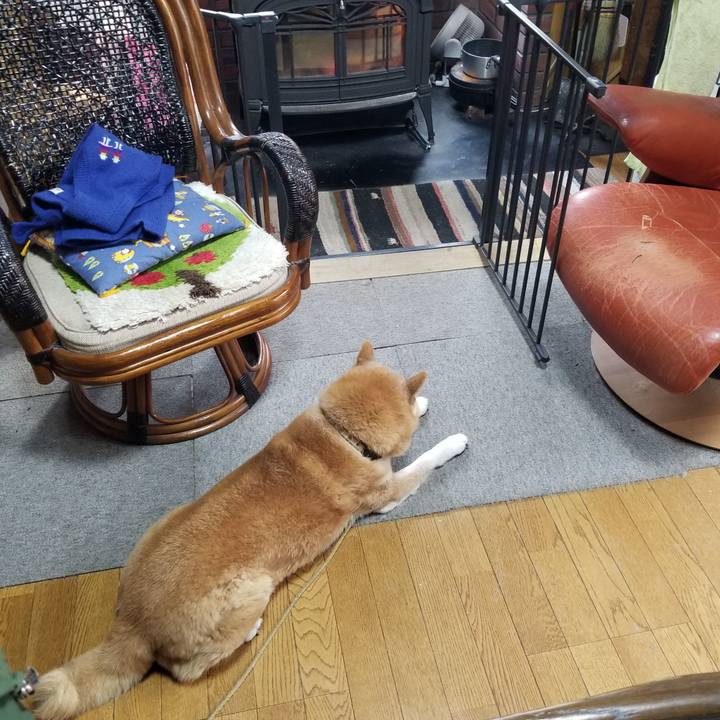 Ce747264 cd02 480e b21c 05e6120a0734 1699834677348