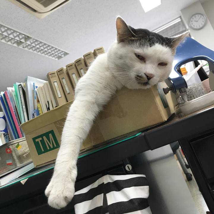 Ce74ae6f 6599 4edd b3b9 40519676240f 1573693851589