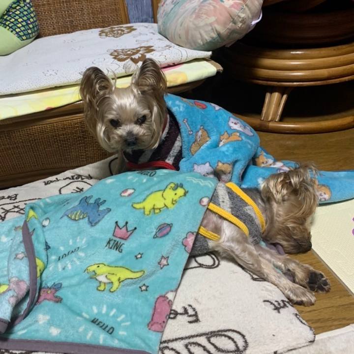 Ce74b3af 046a 49df a4ac 22001dfb7987 1650967297067