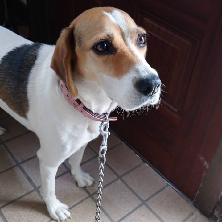 Ce74b46d 5ece 4267 9b5b f86146a902ef 1600048428058