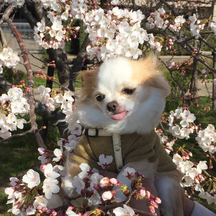 Ce74e8d3 663f 400a 81b0 3b5b8c387276 1554460921191