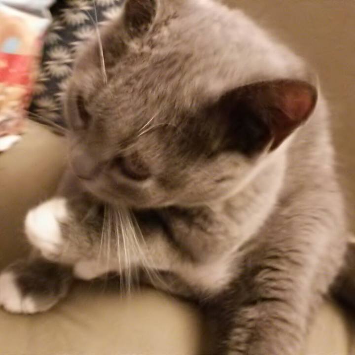 Ce74f952 3862 44bd 8fa1 fa78e5172cba 1535582534971