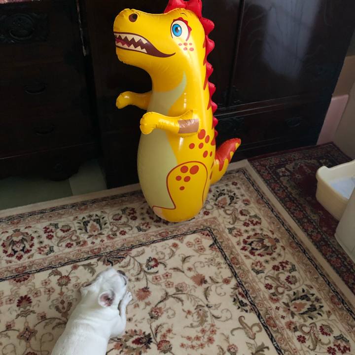 Ce75012e 588e 4707 b994 a385f69e2f7c 1592722862530