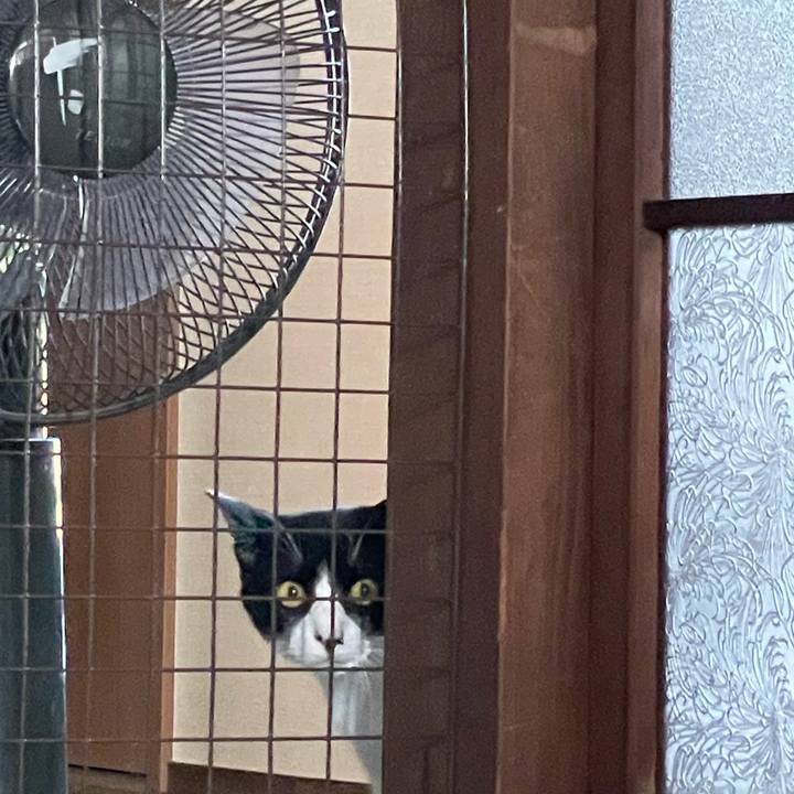 Ce751e1f a14f 4486 9ad5 fb85631661fc 1722638285156