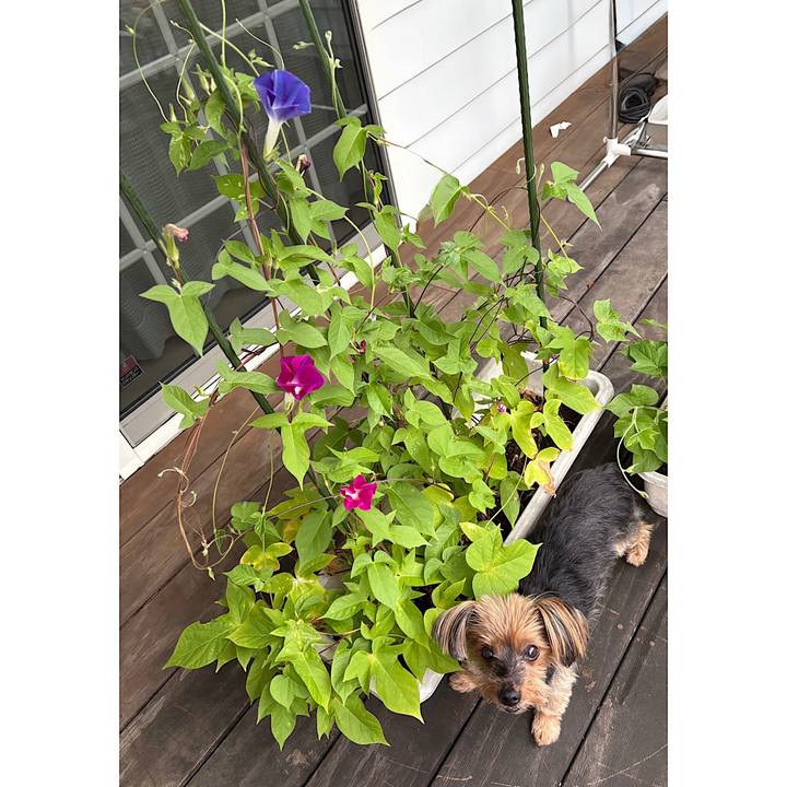 Ce7542fe bb58 4136 8833 6a7f3eded77b 1754517266072