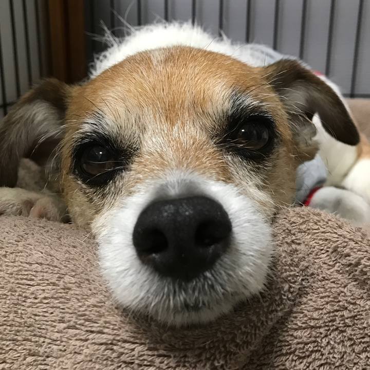 Ce757742 7645 4589 b619 6eec7101d04c 1589630403350