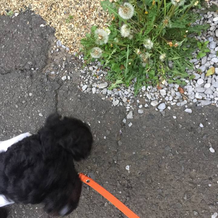 Ce757a02 4102 4752 9492 d22b24578c19 1524588273171