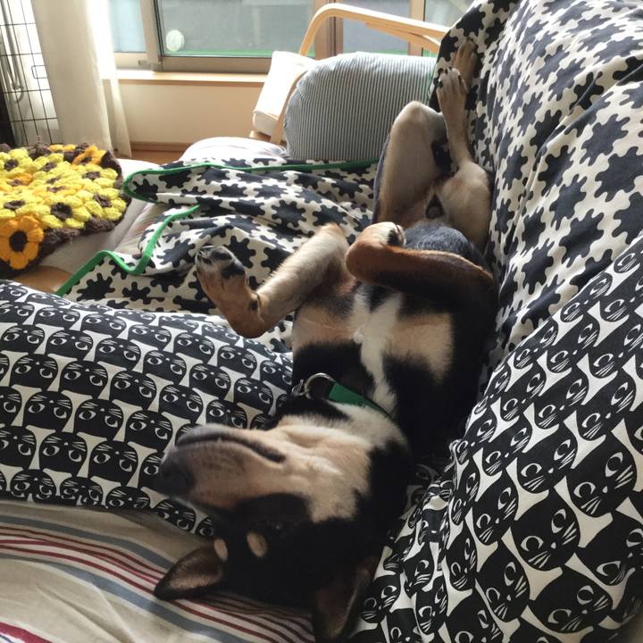 Ce75c53a c6f1 4968 93ca ba3aea600c28 1528688385929