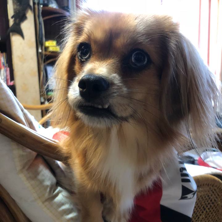 Ce75f37c 0d7c 43c9 ac2a 074e4273e4ce 1538603437220