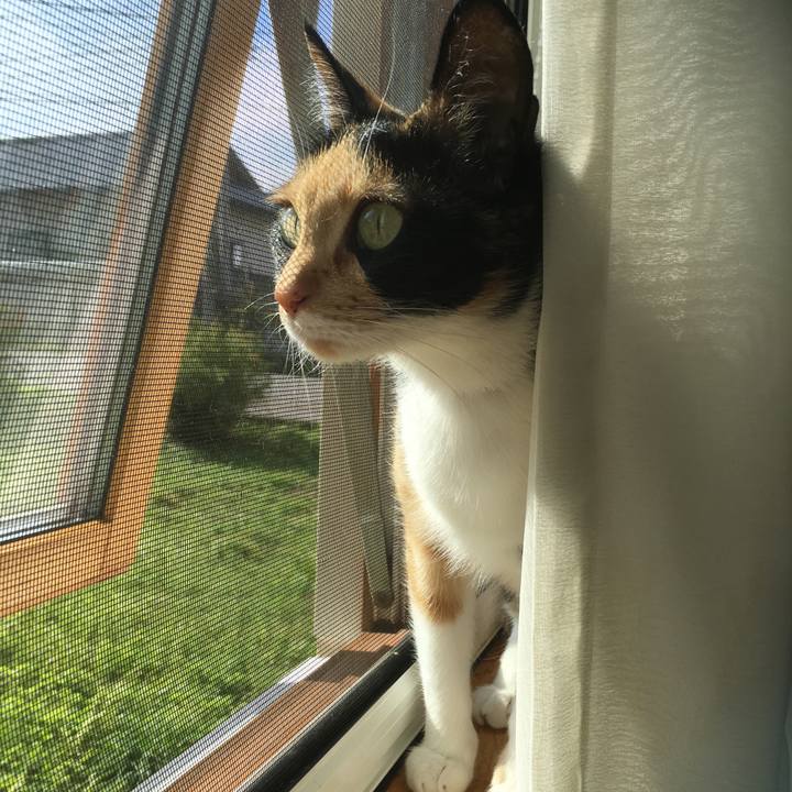 Ce761cdf 14d4 410e b9e2 2a639ccf7f92 1509594123218