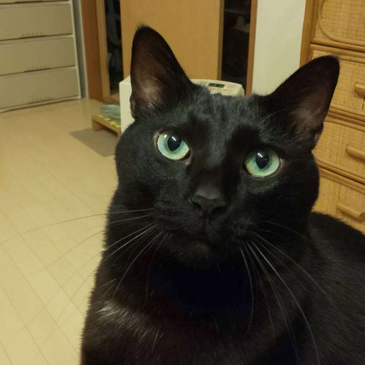 Ce762fc5 1fd6 4ba8 a0bd f1c2f4172bde 1738764209074