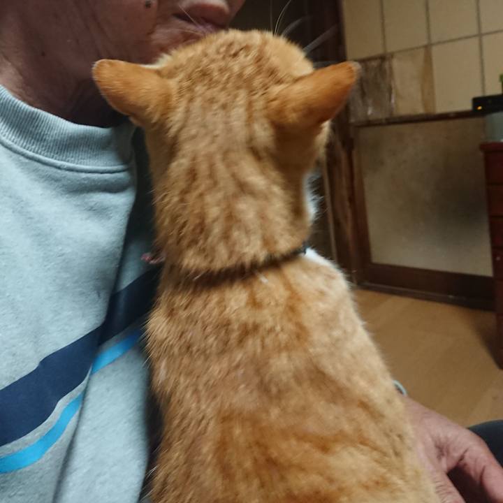 Ce766c4b 0cb5 4179 a9eb e77bbd269b41 1603829277894