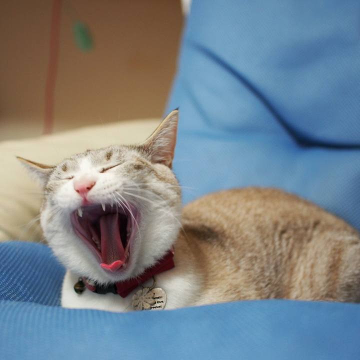 Ce76706a b763 4e65 a6ed d2fa9633c910 1523534627773