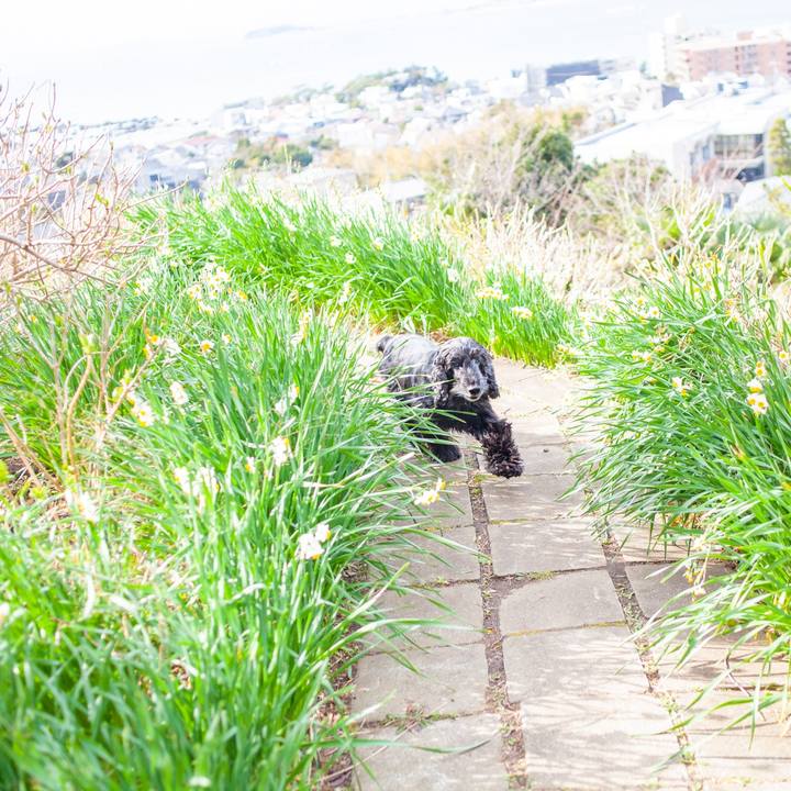 Ce768edb aa82 4ed4 8525 a20d776bbd38 1583408207233