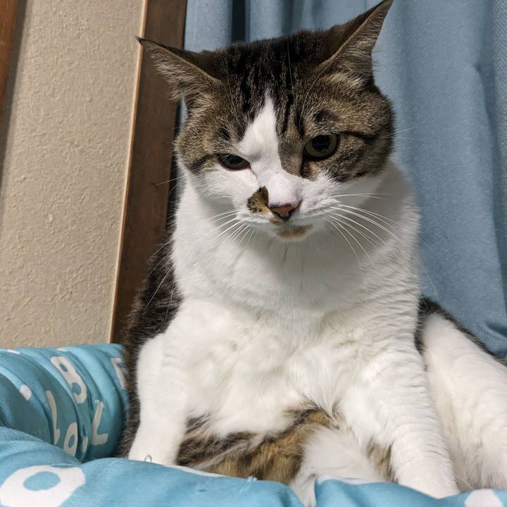 Ce76a16f 4d47 4210 a9a9 9a727b815f9c 1713181599878