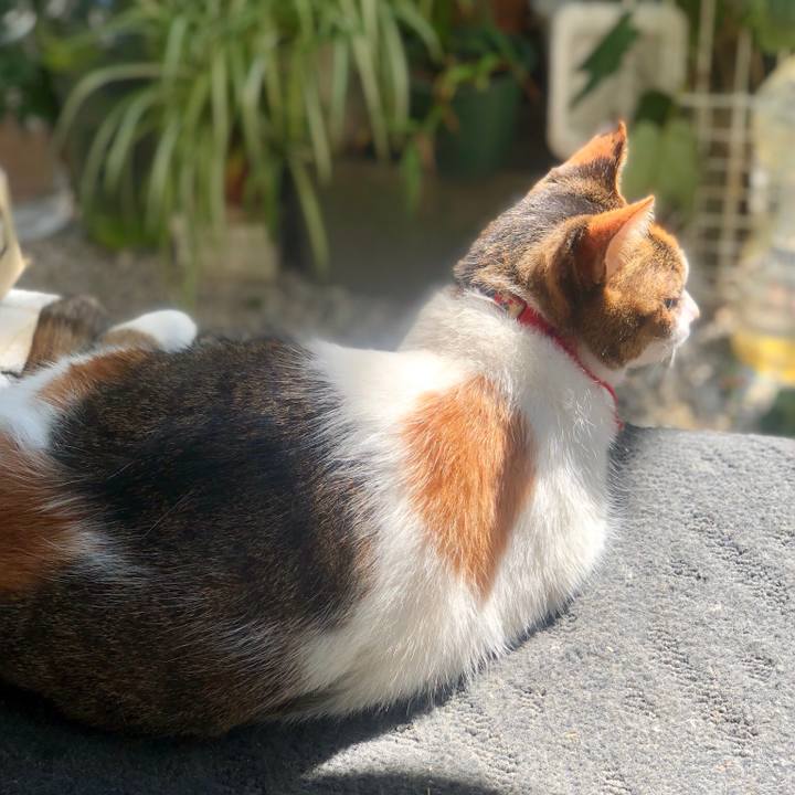 Ce76e361 3633 4e77 bda4 c3c22c2dec14 1538876909990