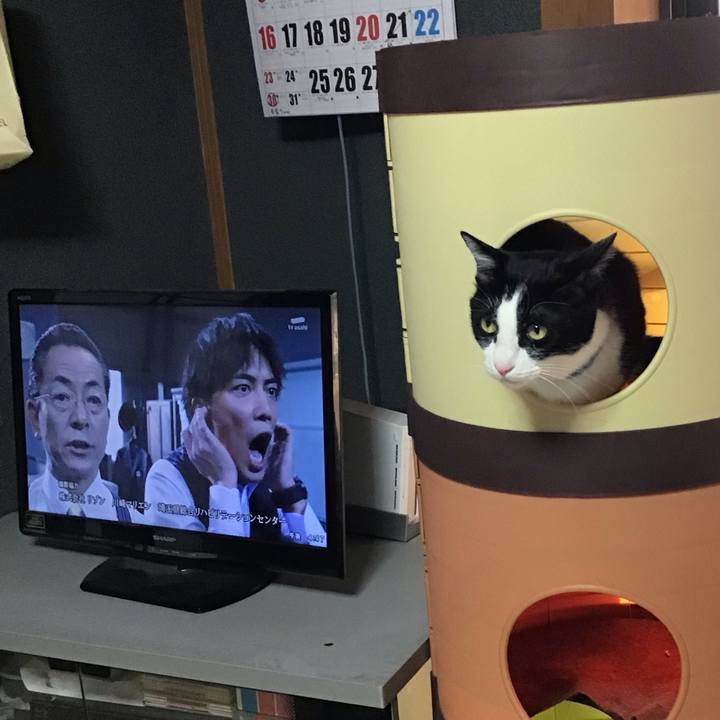 Ce76e8df 2b62 4b24 91ef a0c4579f3c8f 1743064869399