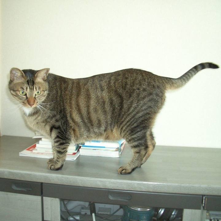 Ce77207c d2c3 4adc ad4e 789dc2fbeb94 1608596265766