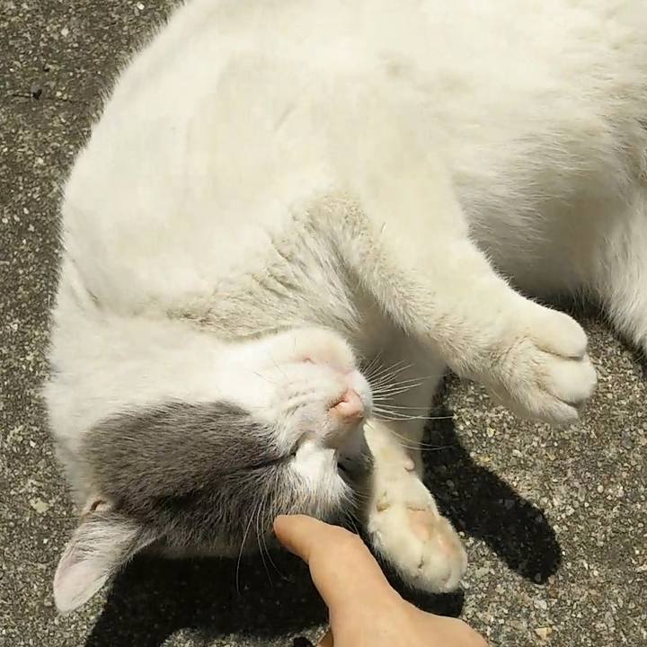 Ce772e0b e100 4608 a75c 2e789ba1aeaa 1556331241864