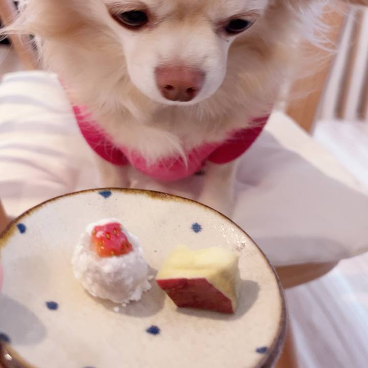 Ce775acf b7b5 4b60 b95e a720948d341d 1738675513997