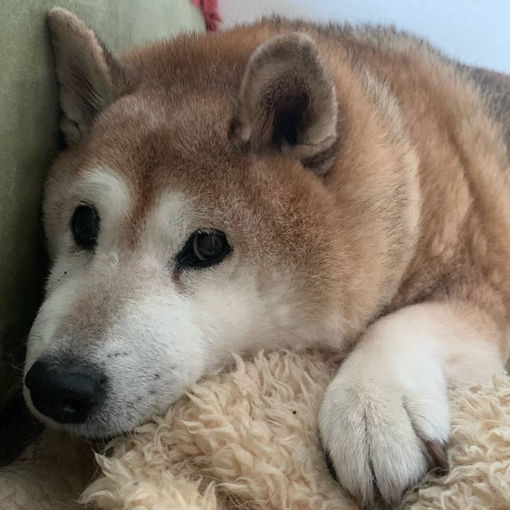 Ce776c46 8846 4df9 9996 9379e7840d29 1603673959535