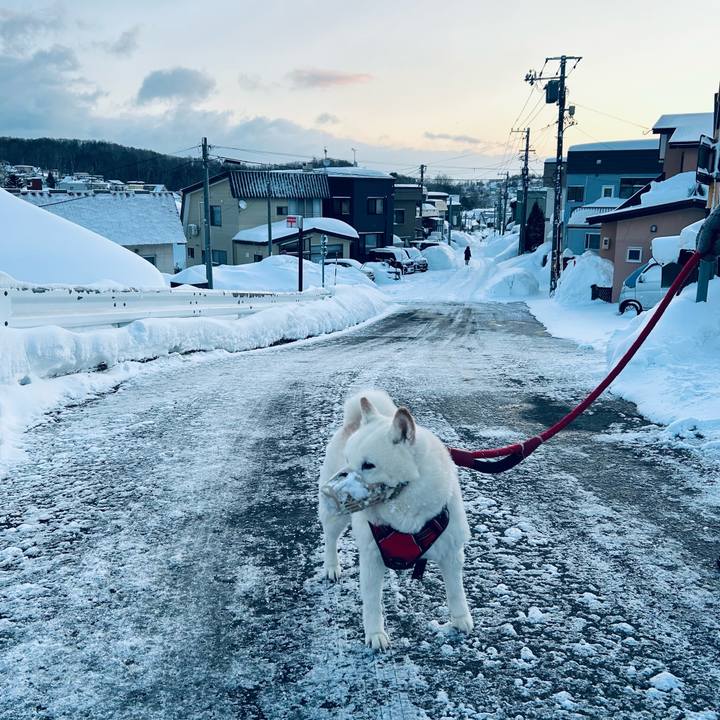 Ce77a74b c5c0 499b 941b c72fd3984d9b 1770415807493