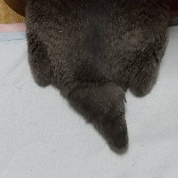 Ce77cf8a 5d3a 4bb9 9cd6 272d73bef2d8 1695119851103