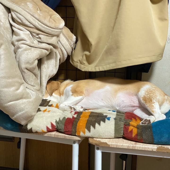 Ce77f0b4 687e 48b7 aaa7 bcf812cd65bb 1656292477338